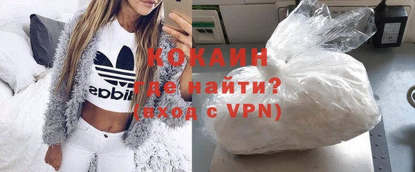 хмурый Аркадак