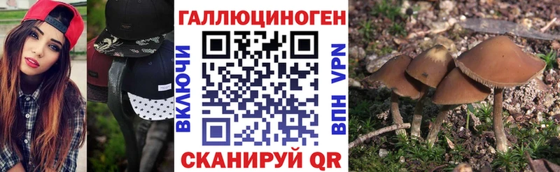 Псилоцибиновые грибы мухоморы Верхняя Салда